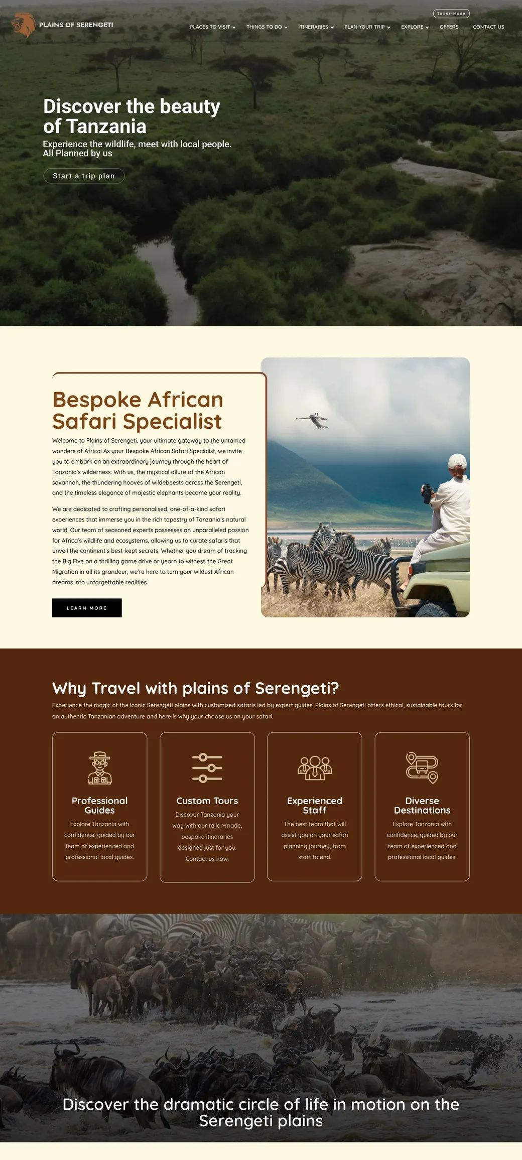 Plains of Serengeti